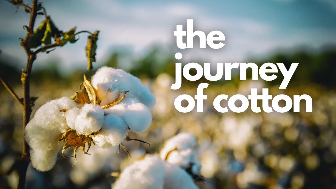 From Fiber to Fabric (The Journey of Cotton) | Luv U Nature - YouTube