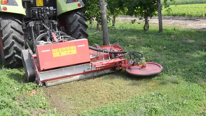 Macchinario agricolo Trincia Rotore - www.zillisnc.it a San Quirino (PN)