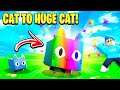 Cat To HUGE CAT In Pet Sim X!! (Roblox)