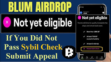 How To Eligible In BLUM Airdrop 100% Working Tricks | How To Sybil Check Submit Appeal In BLUM