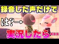 【あつ森】録音した声のみで実況してたら衝撃の光景を目にしました。何だこいつ【あつまれどうぶつの森】
