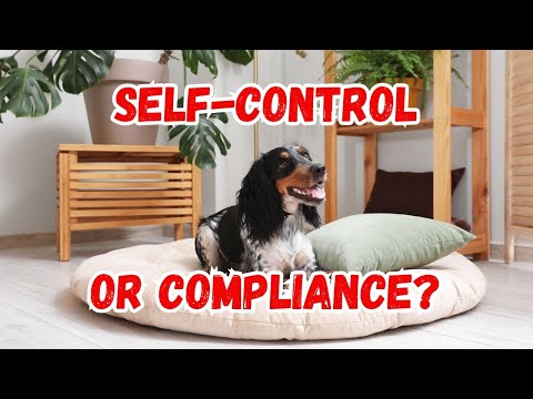 The Secret to Dog Training: Self-Control or Compliance?