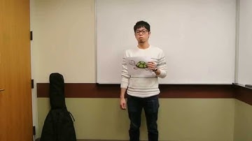 The Reflection Speech