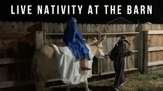 LIVE NATIVITY AT THE BARN