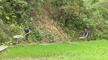 Sôi nổi những công trình chào mừng Đại hội Đảng bộ xã Tân Phúc