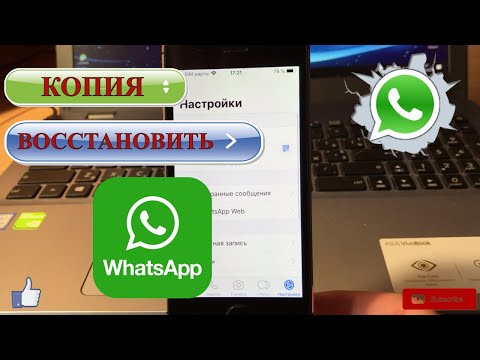 Как сделать резервную копию и восстановить WhatsApp на iPhone