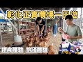 【ManLife】彰化北斗正實農場一日遊｜小孩子的天堂 餵食 撿蛋 魔術表演Changhua one day tour 《阿滿生活｜彰化》