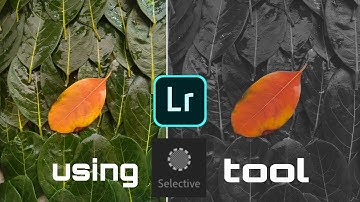 How to use selective tool in lightroom mobile |  editing tutorial 😍