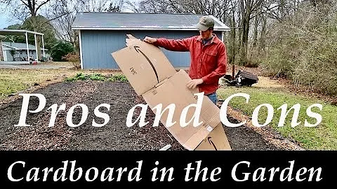 CARDBOARD in the Garden | PROS and CONS