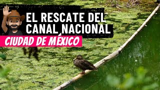 The rescue of the National Canal in Mexico City