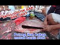 Potong ikan kakap merah harga rp180000