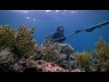 Bajau people of the Banda Sea - Rise of the Continents - Episode 2 Preview - BBC Two