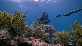 Bajau people of the Banda Sea  Rise of the Continents  Episode 2 Preview  BBC Two