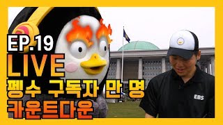 "삭발 VS 국토대장정" 구독자 만 명 내기! 카운트다운 LIVE [EP.19]