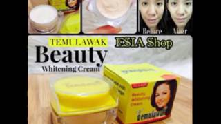 TEMULAWAK BEAUTY 2IN1 ASLI HARGA GROSIR || 08381241380