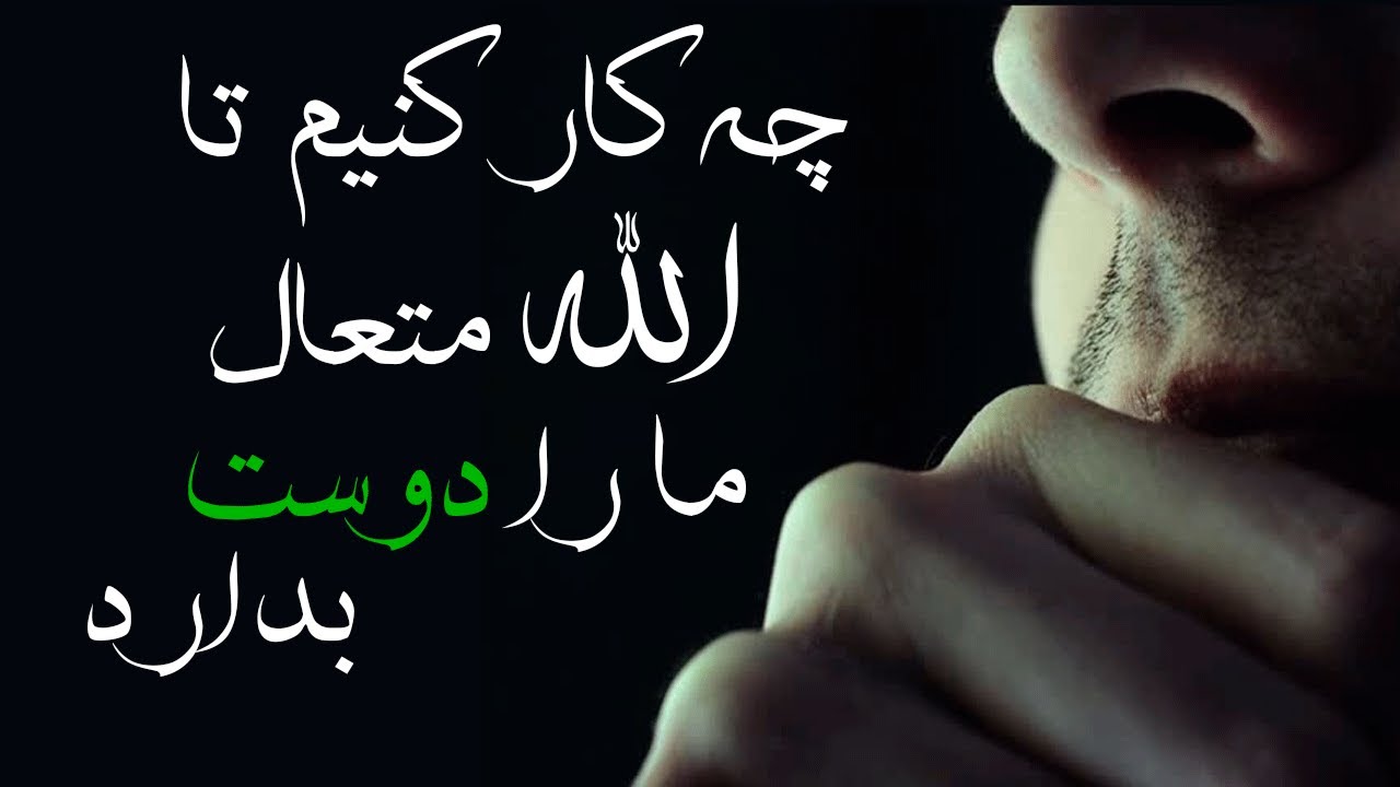 نا امیدی از رحمت الله متعال گناه کبیره است ! |المفلحون ᴴᴰ