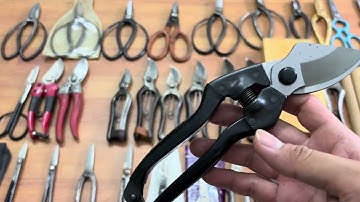 Clip 147 Kéo cắt cành bãi Nhật, kéo tỉa, kìm cap, dụng cụ bãi Nhật #0376628645 #dungcubonsai #tools