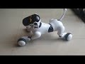 Gizmo Robot Dog Puppy Go