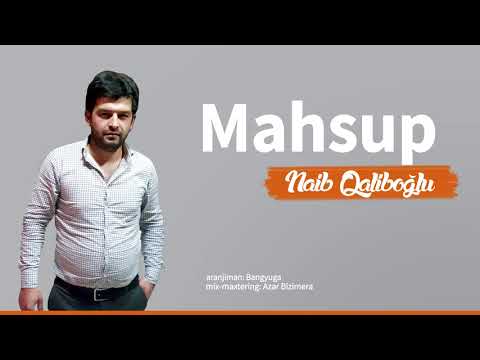 Naib Qaliboğlu - Mashup (Qaranquşlar gelende 2020)