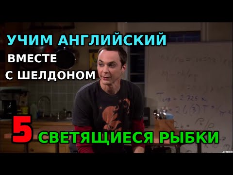 Учим английский по сериалам. Теория Большого взрыва: светящиеся рыбки