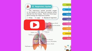 #S. M. online  5th Std science  organ systems  2.respiratory system