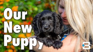 Bringing our 8 week old PUPPY home | Barbster360