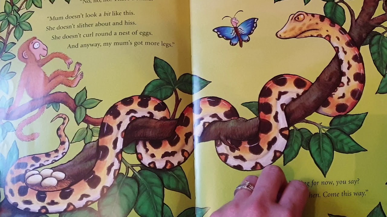 Monkey Puzzle Story YouTube monkey-puzzle-story-youtube