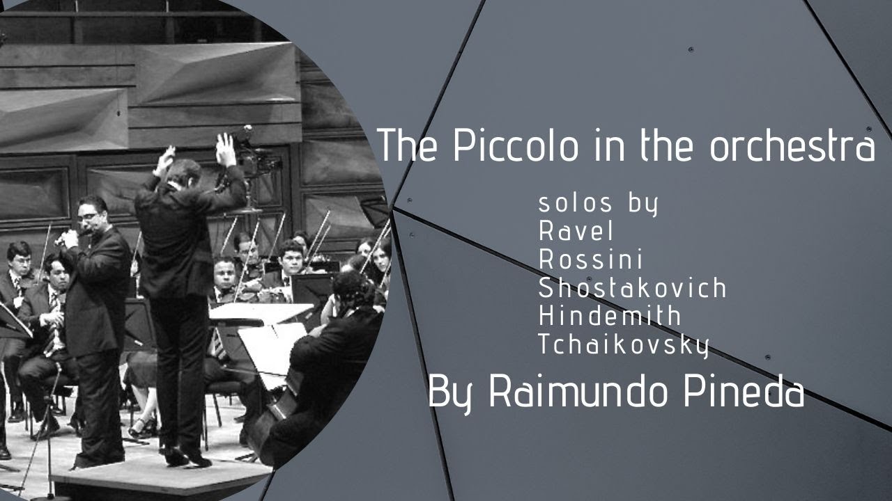 The Piccolo in the orchestra by Raimundo Pineda