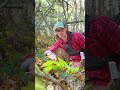 🍁Fall Autumn Macro Photography Tips In Canada, Capturing Mold, Moss, Plants And Wildlife🦌 4K