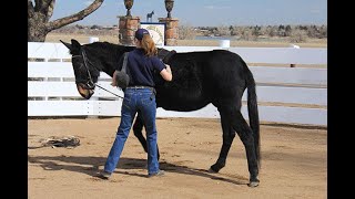 Celebrity LTR Training Tip #36: Using the Elbow Pull During Leading Training Profile