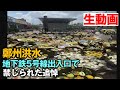 中国鄭州市の地下鉄5号線出入口　禁じられた追悼祭典