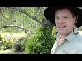 Sun Plants Full Arizona Well In Grow That