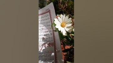 سورة الكهف ...جمعه مباركه