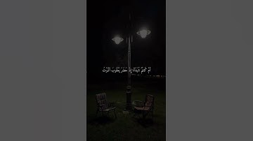 قال اسلمت لرب العالمين | للقارئ أويس عبد الفتاح