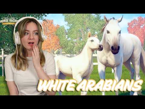 PURE WHITE ARABIAN
