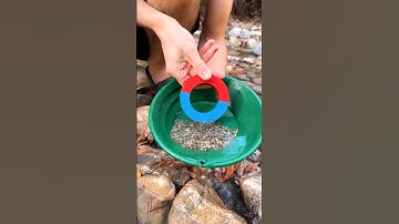 MAGNET FISHING vs Metal Detecting for Finding Gold!