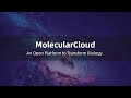 MolecularCloud's 3rd Anniversary