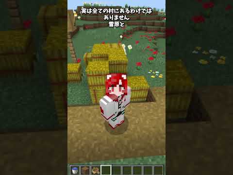 村にあるアレは… #shorts  #マインクラフト #minecraft