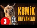Pisi TV Komik Hayvanlar 3 - Bu Hayvanlar Konuşuyor