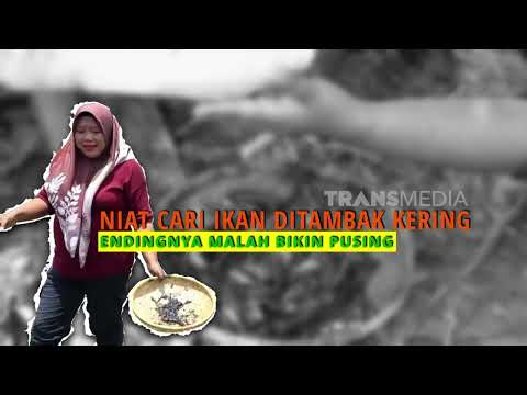 Mencari Ikan Di Tambak Kering | ENAH BIKIN ENAK (09/09/26)