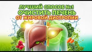 Лучший способ №1 очистить печень от жировой дистрофии.