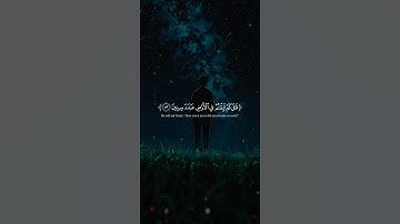 اكتب شيء تؤجر عليه 😴💚 قران كريم | إسلام صبحي