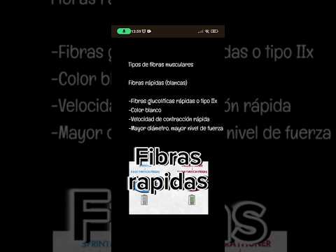 Fibras musculares rápidas (blancas)✔ #medicina #fisiologia #educación
