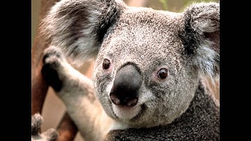 mooie diavoorstelling