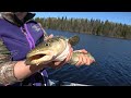 Burbot - and something special for Jay and Sam Siemens