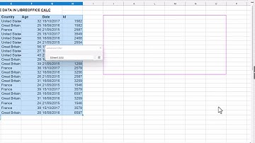 How to Remove Duplicates in LibreOffice Calc (2023)