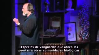 Seis Maneras En Qué Los Hongos Pueden Cambiar El Mundo - Paul Stamets