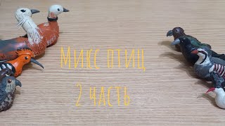 картинка: МИКС ПТИЦ! 2 часть! Лепим различных диких птиц.