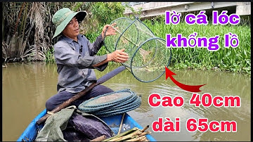 cách đặt lờ cá lóc khổng lồ #fishtrap
