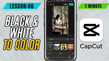 How to Transition Between Color to Black & White in CapCut mobile - Lesson 46 CapCut Mobile Tutorial